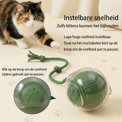 Automatisch kattenspeeltje met 360 graden rotatie en onvoorspelbare bewegingen.