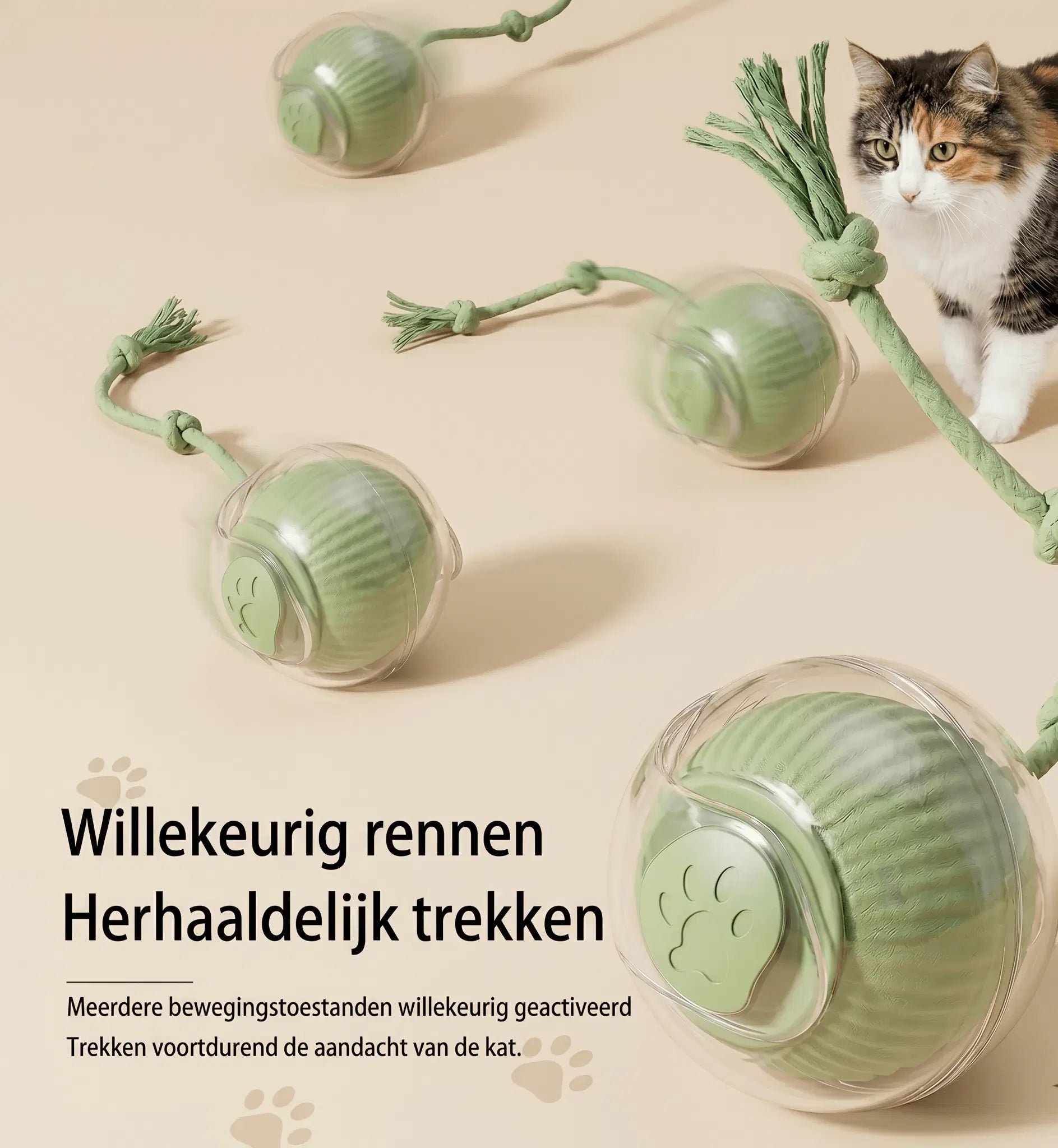 Compact en veilig ontwerp van het interactieve kattenspeeltje, geschikt voor elke ruimte.