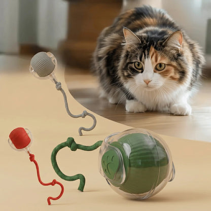 Kat die interactief speelt met een automatisch bewegend speeltje in de woonkamer.