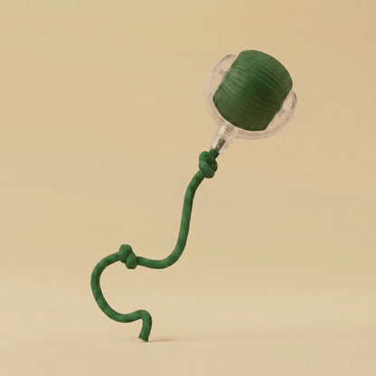 Slim interactief speeltje voor katten om verveling te voorkomen als je niet thuis bent.